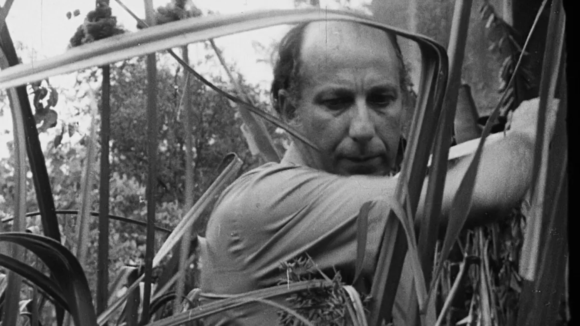 “Perdido”, un cuento de Haroldo Conti